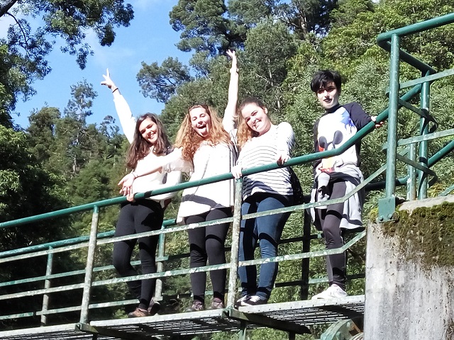 Clique para aumentar