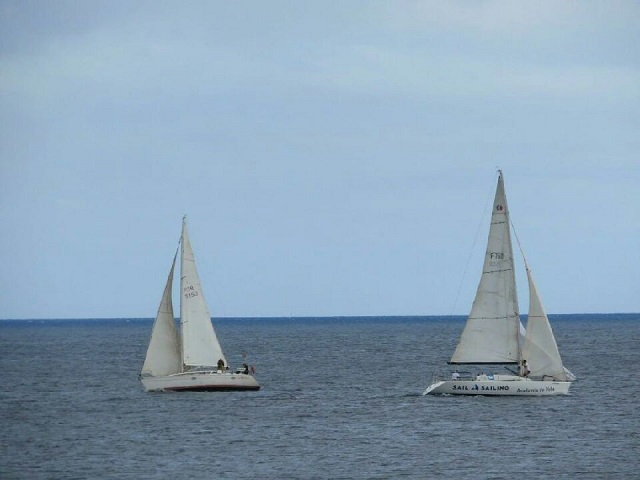 20220701_190247.jpg